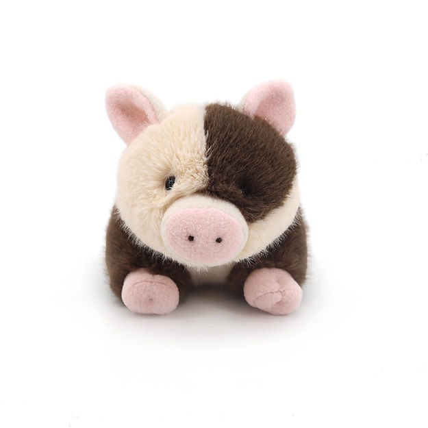 Small Spotty Pig