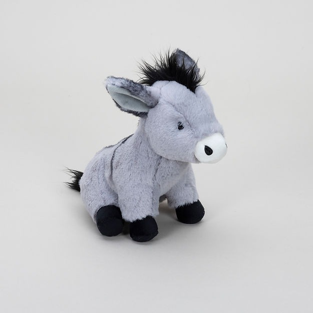 Mini Donkey