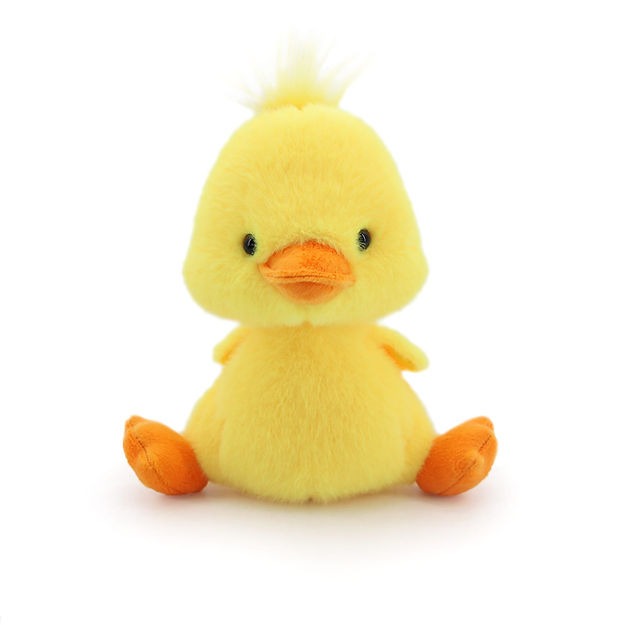 Small Duck