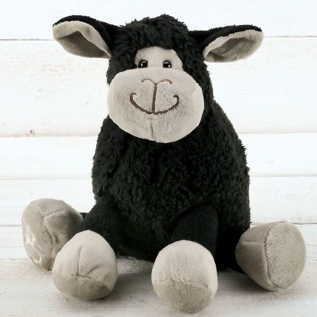 Small Black Sheep