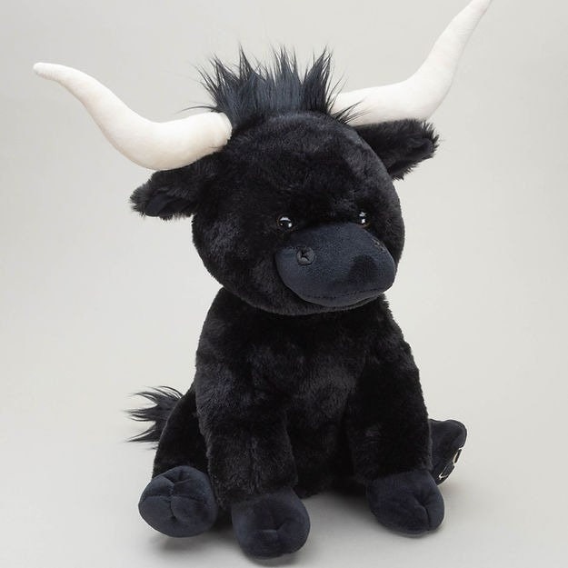 Large Black Horned Highland Cow