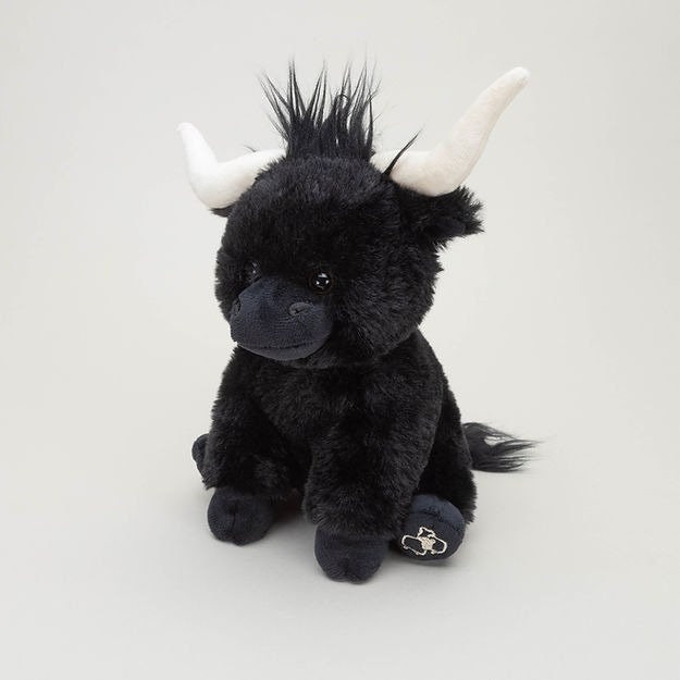 Small Black Texas Longhorn Cow