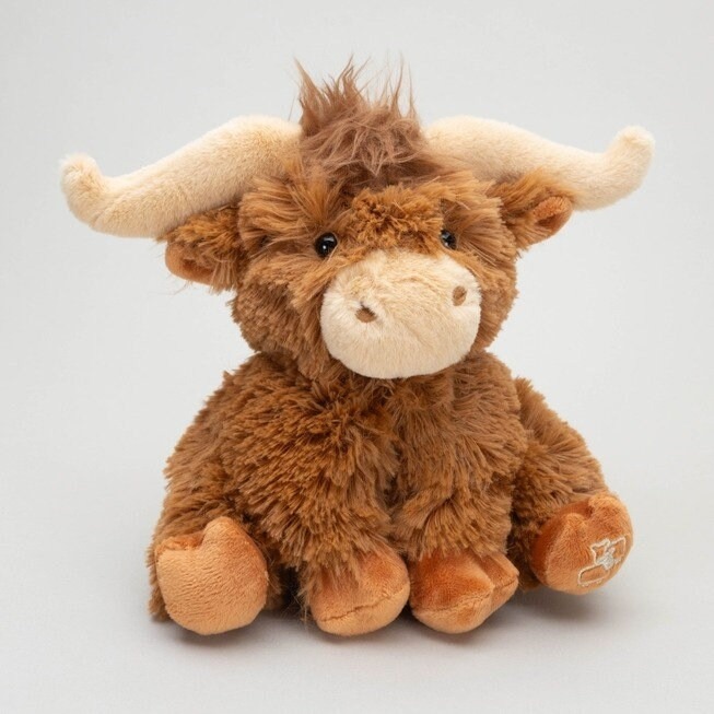 Small Horned Brown Highland Cow