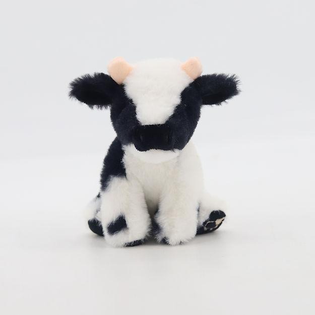 Small Dairy Cow