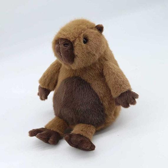Personalised Large Capybara Plush 40cm, Cute Capybara Teddy, Soft Stuffed Animal, Engraved Tag Gift, Baby Shower Gift, Capybara Keepsake - Image 5
